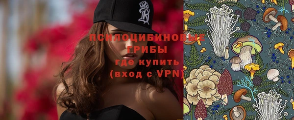 винт Бородино