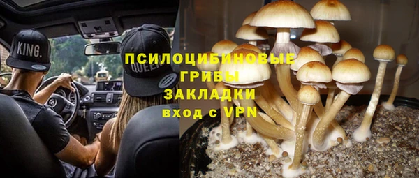 винт Бородино